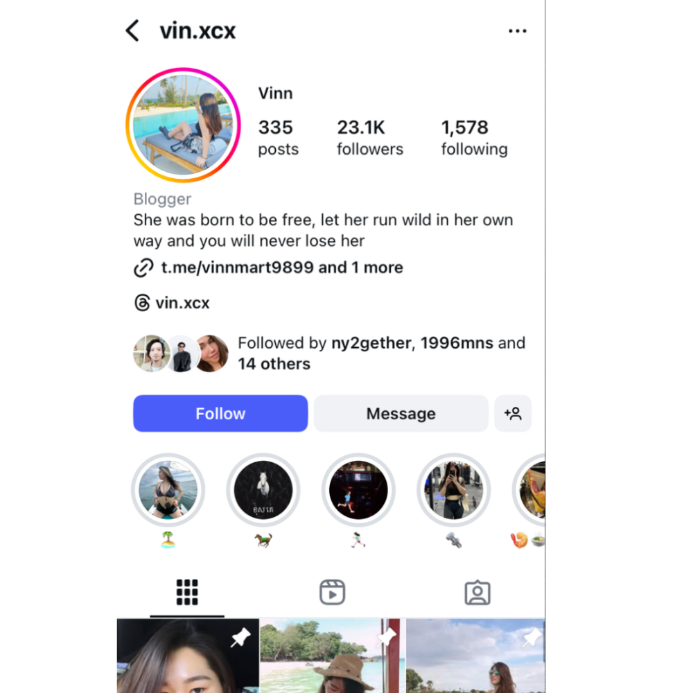 Instagram Profile