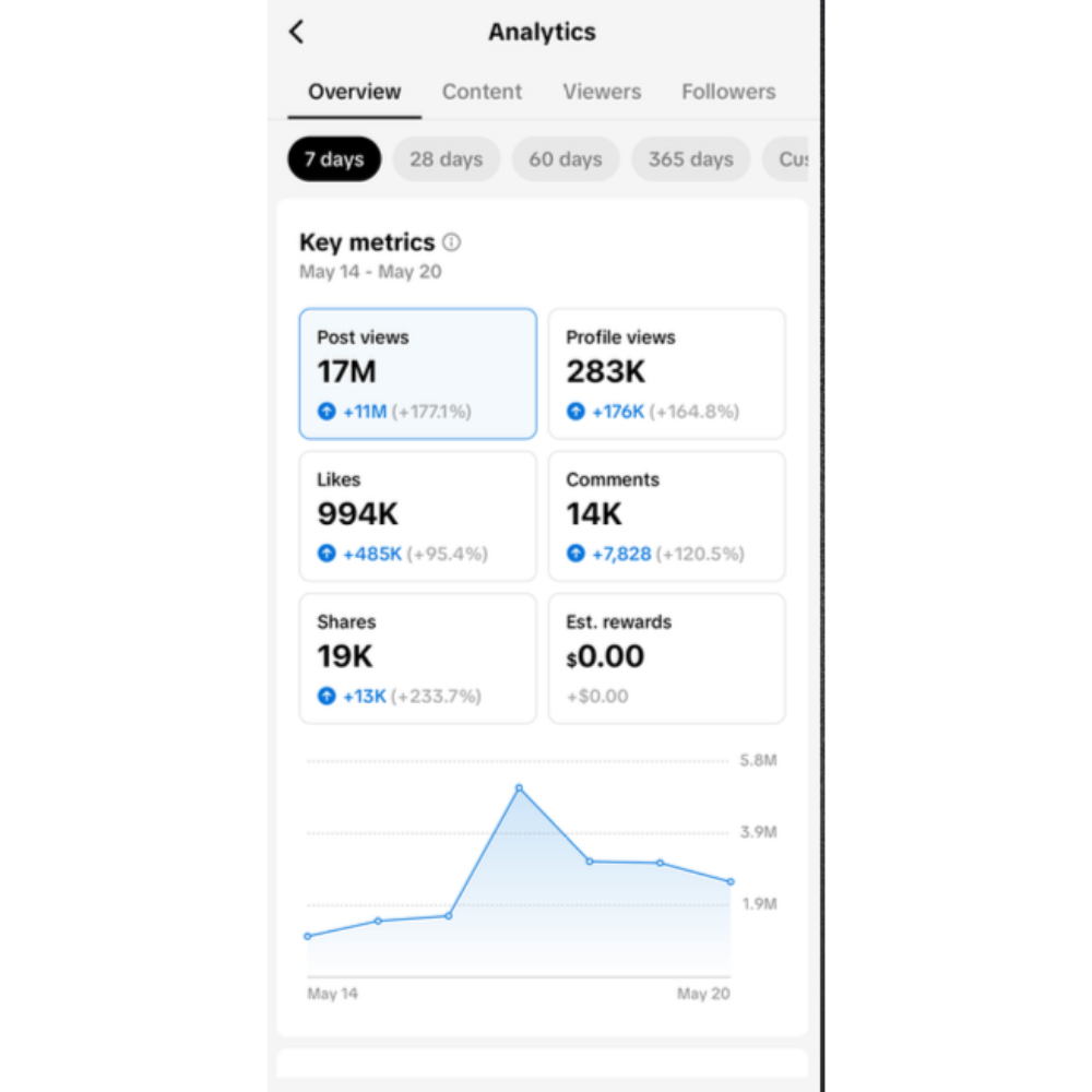 TikTok Insights