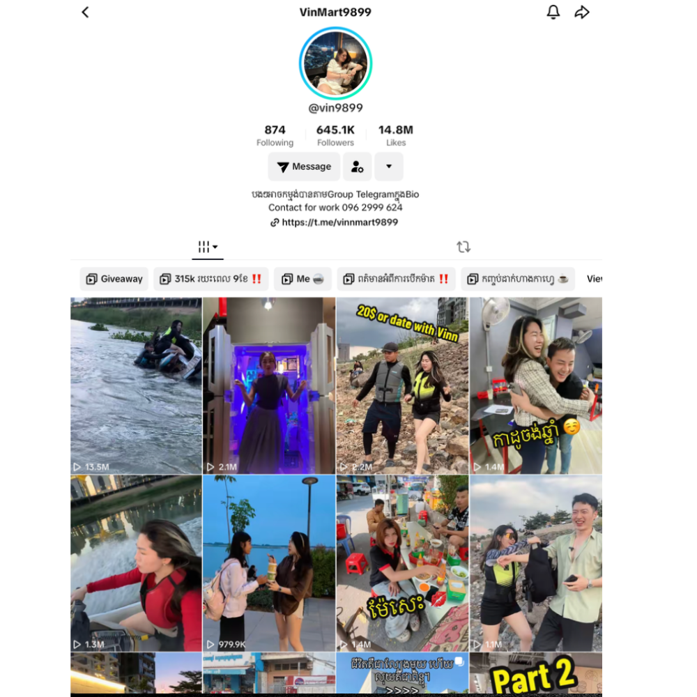 TikTok Profile